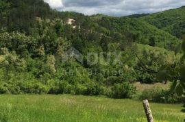 ISTRA, MOTOVUN - Kamena kuća s okućnicom u okolici Motovuna s pogledom na zelenilo, Motovun, Haus