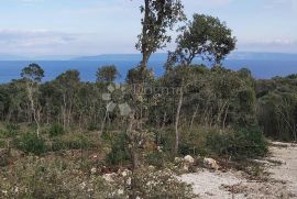 Poljoprivredno zemljište, šuma s pogledom, Marčana, Terreno