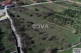 Građevinsko zemljište 1555 m2 – Pridraga *Pravilan oblik* (ID-2406/D), Novigrad, Terra
