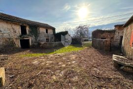 Središnja Istra, Žminj, kamena kuća za renovaciju sa pomoćnim objektima, Žminj, Kuća