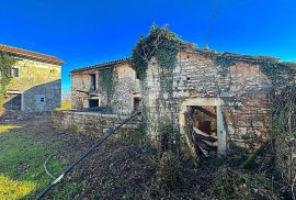 Središnja Istra, Žminj, kamena kuća za renovaciju sa pomoćnim objektima, Žminj, Casa