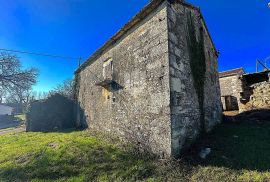 Središnja Istra, Žminj, kamena kuća za renovaciju sa pomoćnim objektima, Žminj, House