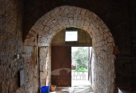 Istarska kamena kuća za adaptaciju, Sveti Lovreč, Casa