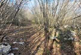 OTOK KRK, KRK - Ravno zemljište bogato drvima sa pristupom, idealno za OPG, 3000m od mora!, Krk, Terreno
