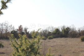 Poljoprivredno zemljište na atraktivnoj lokaciji, Vodnjan, أرض