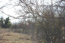 Poljoprivredno zemljište na atraktivnoj lokaciji, Vodnjan, أرض