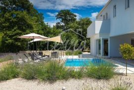 Labin, okolica, prekrasna Villa sa bazenom i saunom, Labin, House
