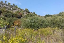 TROGIR - Poljoprivredno zemljište s maslinicima, Trogir, Tierra