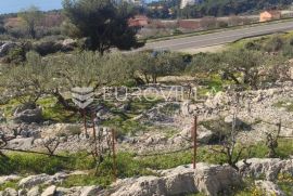 Trogir, Seget Donji, atraktivno građevinsko zemljište površine 3000 m2, Seget, Tierra