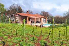 Obiteljska kuća sa bazenom i malim vinogradom, Ližnjan, بيت