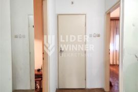 Lep stan sa velikim mogućnostima ID#121711, Savski Venac, Appartamento