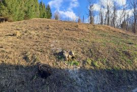 Zemljište u zagorskom Beverly Hillsu!, Stubičke Toplice, Terra