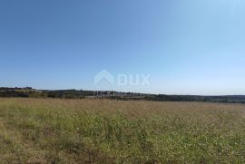 ISTRA, BUJE - Poljoprivredno zemljište površine 14 255 m2 s pogledom na more!, Buje, Terrain