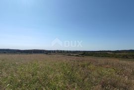 ISTRA, BUJE - Poljoprivredno zemljište površine 14 255 m2 s pogledom na more!, Buje, Terrain