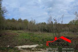 Barban - Želiski, građevinsko i poljoprivredno zemljište u cjelini, Barban, Terreno