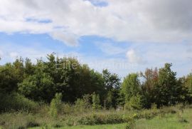 Žminj - prodaja mješovitog zemljišta, 5638 m2, Žminj, Terreno