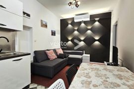 Centar, adaptiran 2-soban s dnevnim boravkom, za investiciju, Rijeka, Appartement