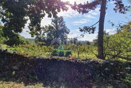 ISTRA, GRAČIŠĆE - Imanje 6880 m2 s kamenom kućom u mirnom naselju na uzvisini, Gračišće, بيت
