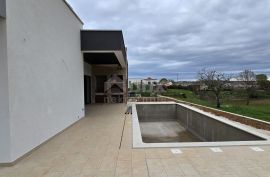 ISTRA, TINJAN - Novoizgrađena moderna vila s bazenom, zadnja u građevinskoj zoni, Tinjan, Kuća