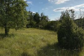 Poljoprivredno zemljište Poloprivredno zemljište u Oprtlju, Oprtalj, Земля