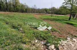 Istra, Barban, građevinska zemljišta 693m2 - 861m2  #prodaja, Barban, Land
