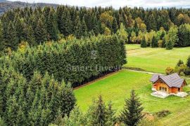RAVNA GORA, predivna drvena kuća od ariša okružena šumom i potokom, Ravna Gora, House