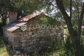 Istra, Rovinjsko selo, poljoprivredno zemljište 27672m2, Rovinj, Arazi