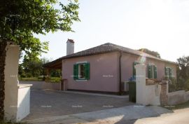 Kuća Prodaje se potpuno obnovljena i uređena kuća prizemnica u Barbanu, Barban, Haus