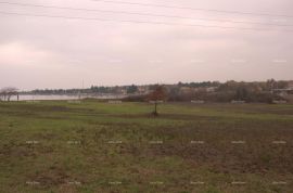 Građevinsko zemljište Prodaje se građevinsko zemljište, 1374 m2, blizu Novigrada., Novigrad, Land