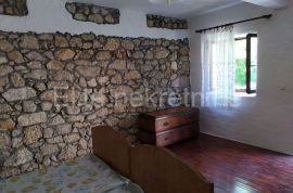 Drivenik - stara kamena kuća 228 m2, Vinodolska Općina, Famiglia