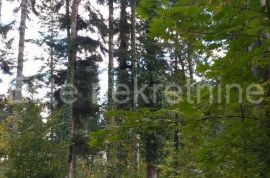 Ravna Gora - prodaja šume, 4550m2, Ravna Gora, Земля