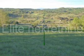Trviž - poljoprivredno zemljište, 46.576 m2, Pazin - Okolica, Tierra