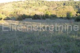 Trviž - poljoprivredno zemljište, 46.576 m2, Pazin - Okolica, Tierra