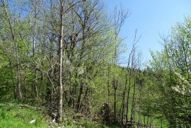 Prodajemo šumu u Gorskom Kotaru, Fužine, أرض