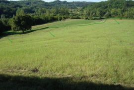 Mješovito zemljište okruženo zelenilom, Motovun, أرض