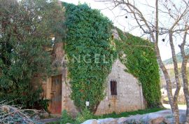 Pelješac, Mali Ston, stara kamena kuća s velikim potencijalom za adaptaciju, 120 m2, Ston, Casa