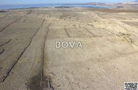 Poljoprivredno zemljište 60 000 m2 – Pag *Lijepa pozicija* (ID-2324), Povljana, Tierra