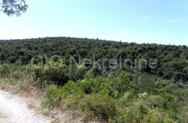 Trogir, Cocina draga, građevinsko zemljište u zelenilu, Trogir, أرض
