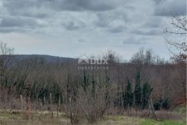 ISTRA, PIĆAN - Građevinsko zemljište sa samostojećom ruševinom i poljoprivrednim zemljištem od 4227 m2, Pićan, Arazi