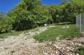 ISTRA, PIĆAN - Kompleks zemljišta s dozvolom na rubu naselja, Pićan, Tierra