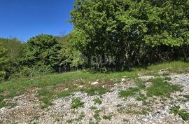 ISTRA, PIĆAN - Kompleks zemljišta s dozvolom na rubu naselja, Pićan, Zemljište