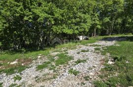 ISTRA, PIĆAN - Kompleks zemljišta s dozvolom na rubu naselja, Pićan, Zemljište
