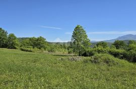 ISTRA, PIĆAN - Zemljište s građevinskom dozvolom i otvorenim pogledom na Učku, Pićan, Terrain