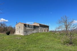 Istra izuzetno šarmantno imanje 40 000 m2 sa kamenom starinom !, Kršan, Terreno