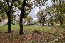 Lovran šarmantan teren u šumi kestena!, Opatija - Okolica, Tierra
