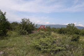 PRIDRAGA- Poljoprivredno zemljište- 5 E/m2, Novigrad, Zemljište