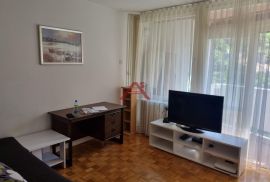 Belveder, najam 1skl stan s lođom, Rijeka, Appartement