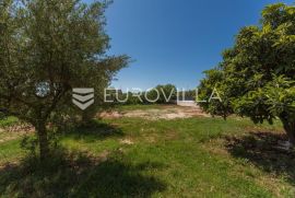Istra, Žbandaj, građevinsko zemljište sa infrastrukturom, Poreč, Arazi