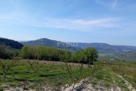 ISTRA, MOTOVUN, OKOLICA - Kompleks građevinskog i poljoprivrednog zemljišta na osami s pogledom na Motovun, Motovun, Земля