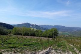 Kompleks zemljišta s otvorenim pogledom na Motovun, Motovun, Земля